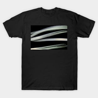 Light Streaks II T-Shirt